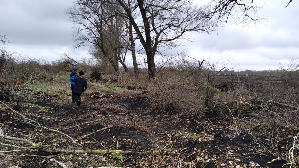 лесные антропогенные ландшафты. лесополоса вырубка. лесополоса вырублены на выезде магнитогорска. лесополоса вырубка. вырубка лесов в ростовской области.