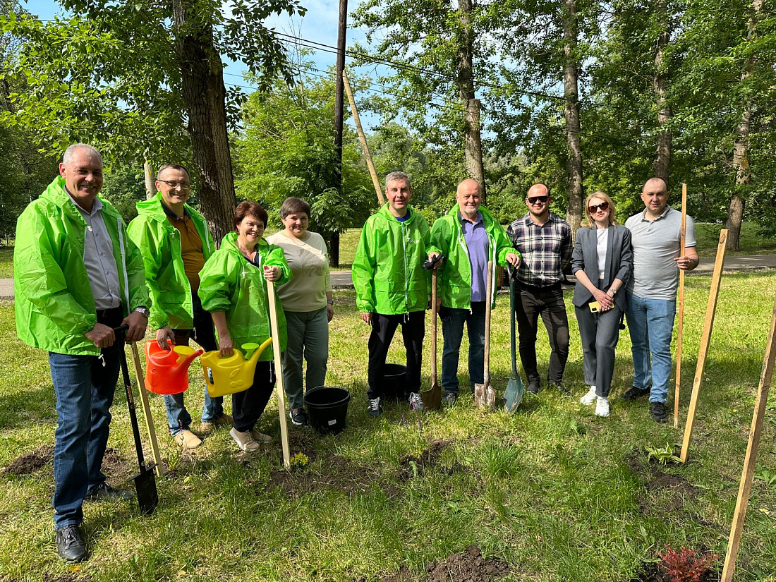 Железногорск курская область парк