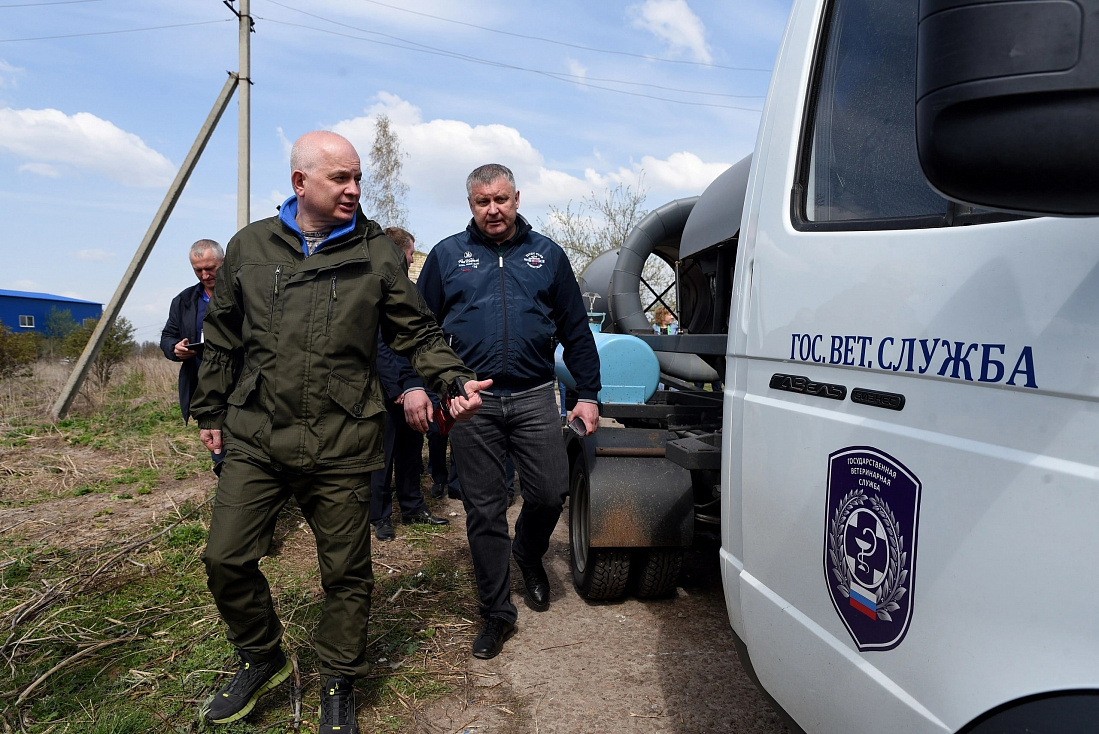 Комитет ветеринарии курской. Управление ветеринарии курской области. Комитет ветеринарии курской. Координационный совет. Ветеринар курск аккумуляторы.